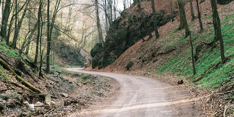 台湾交友软件聊天策略：从Goodnight到Tinder的对话开场白分析