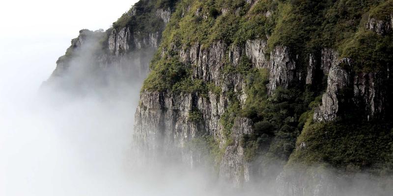 台湾在线聊天与社区交友前景：数字时代的社交新图景