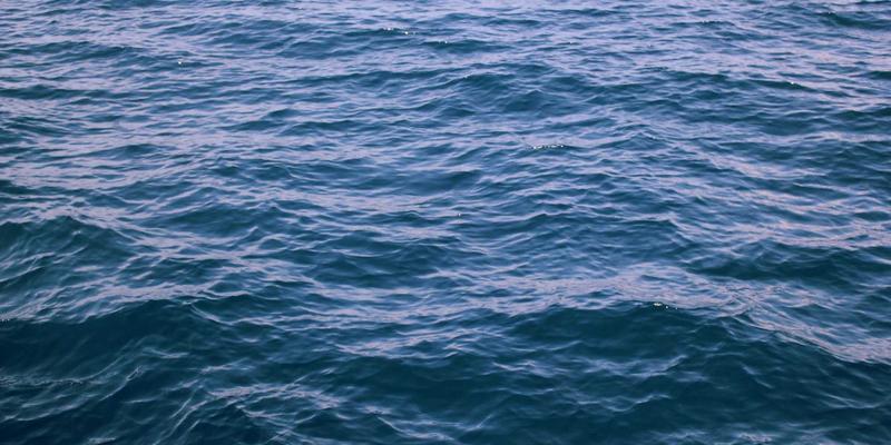 台湾家族LINE群组的代际互动：从节日贴图到健康信息的社区传播网络