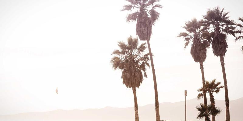 台湾社区线上聊天的方言新浪潮：闽南语、客家话打字与语音如何驱动文化传承