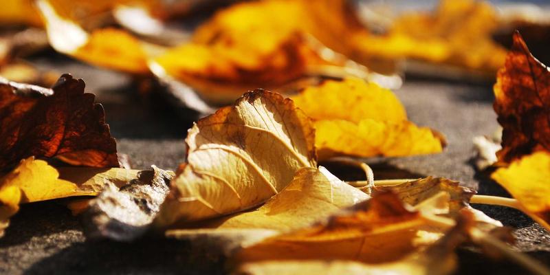 台湾聊天56:探索24小时免费聊天室与在地社区互动新趋势