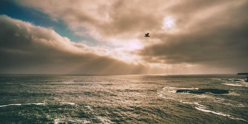 台湾聊天73：探索24小时免费在线聊天室的社交新体验