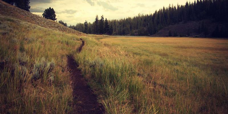 台湾聊天79：探索24小时不间断的台湾社交平台新趋势