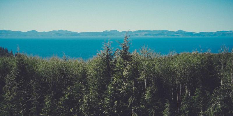 台湾聊天9:探索免费在线聊天室,连接全台网友的即时互动平台