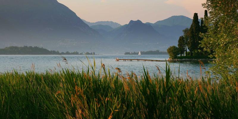 台湾聊天新趋势：台语、国语、英语与网络用语如何重塑24小时交友互动