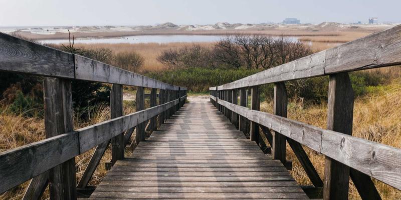 台湾职场社交平台LinkedIn的在地化挑战：为何需要免费聊天室与社区功能？