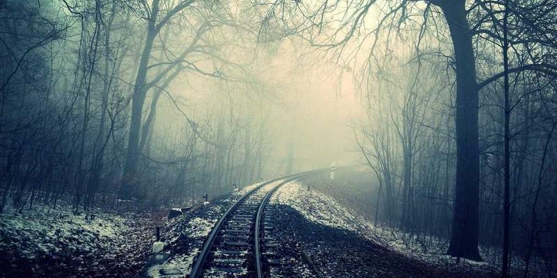 台湾长辈LINE群组现象学：养生贴图、假新闻与家族关系的数字纽带