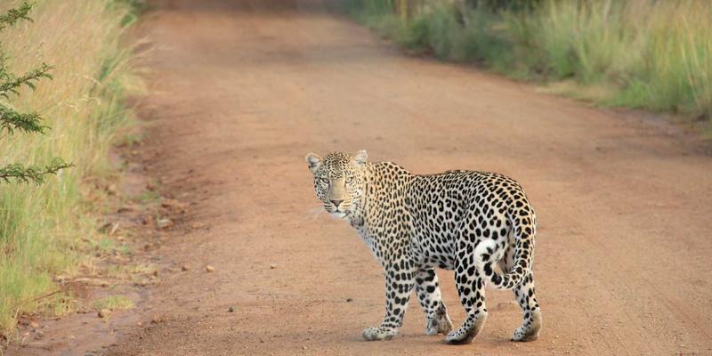 台湾长辈线上聊天教学指南：从LINE贴图到免费聊天室的数字沟通转型