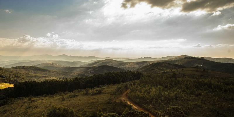在线聊天台湾：夜市文化如何成为社区聊天的社交货币与记忆纽带