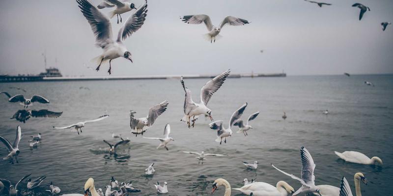 在线聊天台湾新趋势：区域FB社团如何成为在地信息交换与交友中心